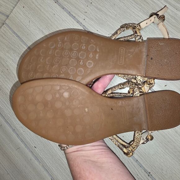 Coach Opal Natural Snake Skin Print Sandals Strappy Size 7 Summer Vacation - Picture 5 of 8